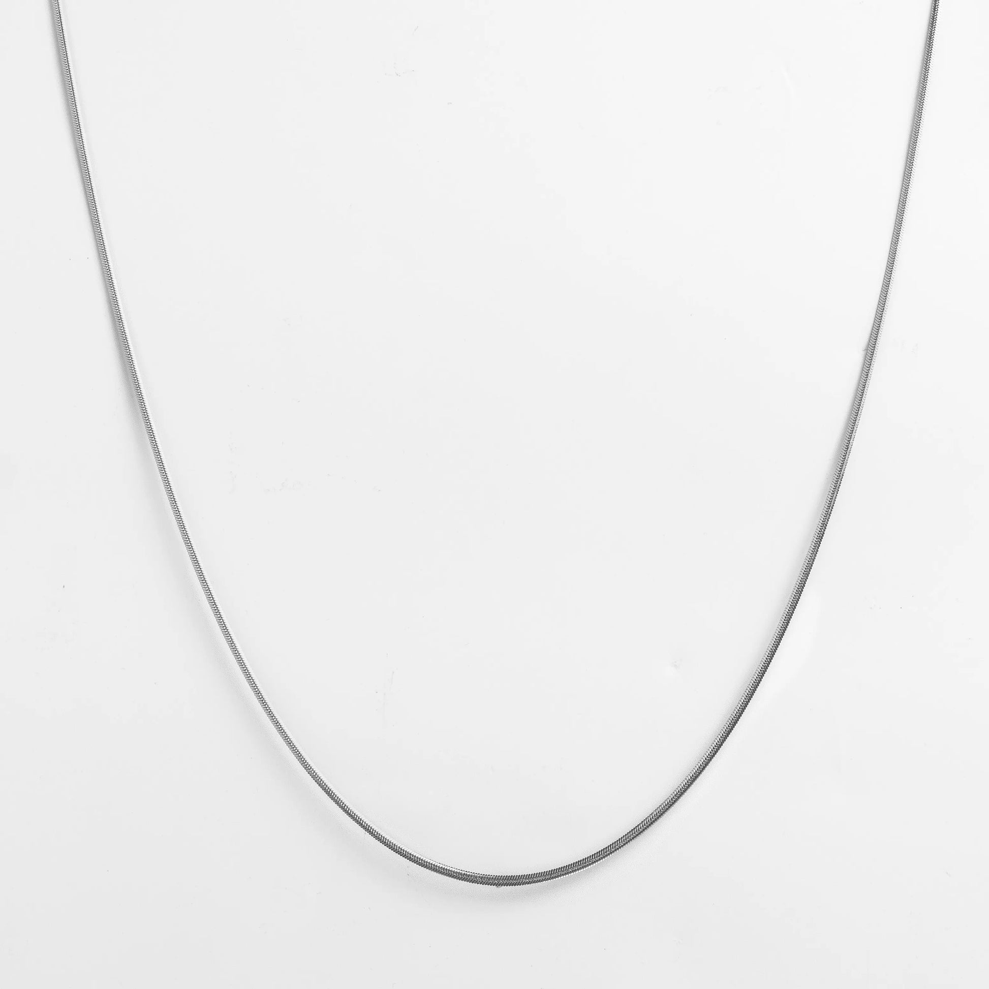 Snake Chain 22" (Silver) LVRG